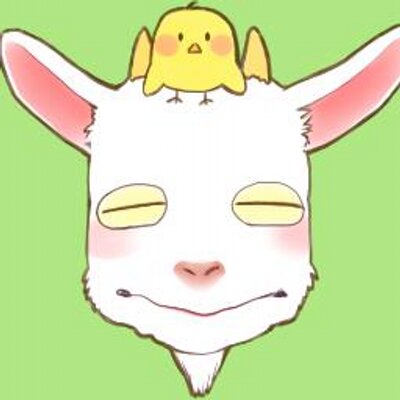 唐沢千晶 Karasawa Twitter