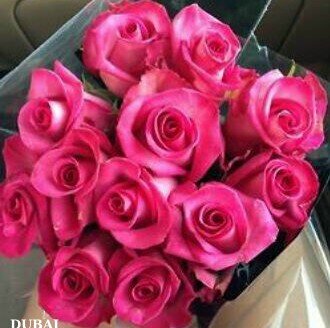 ‏{رَبَّنَا اغْفِرْ لِي وَلِوَالِدَيَّ وَلِلْمُؤْمِنِينَ يَوْمَ يَقُومُ الْحِسَابُ }