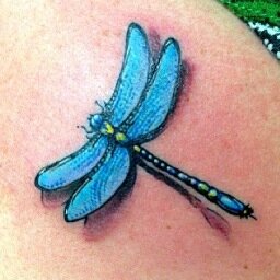 sloef2006's profile picture. Musician and Entertainer Extraordinaire