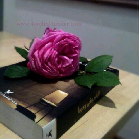 ﺍﻟﻠﻬﻢ ﺍﺟﻌﻠﻨﻲ ﻣﻤﻦ ﻳﺘﺮﻛﻮﻥ ﺁﺛﺎﺭ ﻃﻴﺒﻪ ﻓﻲ ﻗﻠﻮﺏ ﺍﻻ‌ﺧﺮﻳﻦ ﻭﻓﻲ ﺣﻴﺎﺗﻬﻢ ﻻ‌ﺗﻤﺤﻰ ﺍﺑﺪﺍ  ،،اعتتذر الاضااافات للبنات فقط؟!