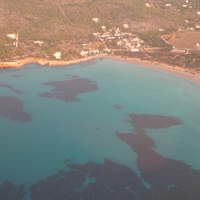 gonkscp's profile picture. 