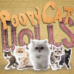 Cats, Popgroup, Divas, Furry, Feline, Cattitude, Purr