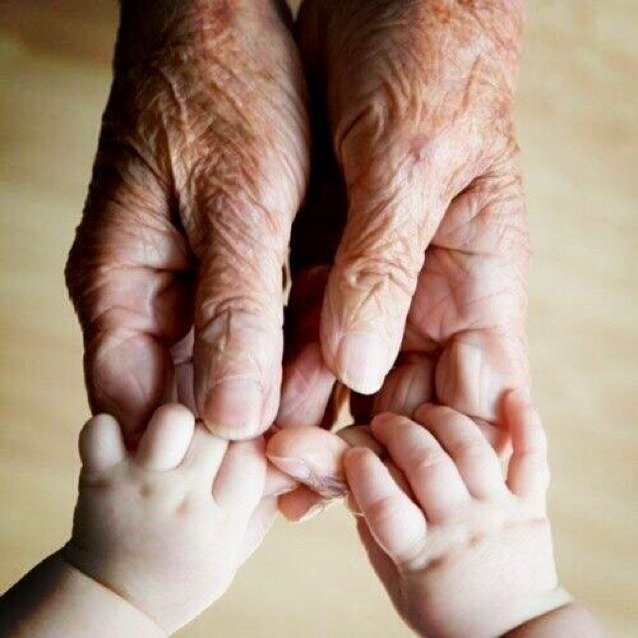 _shajn's profile picture. 