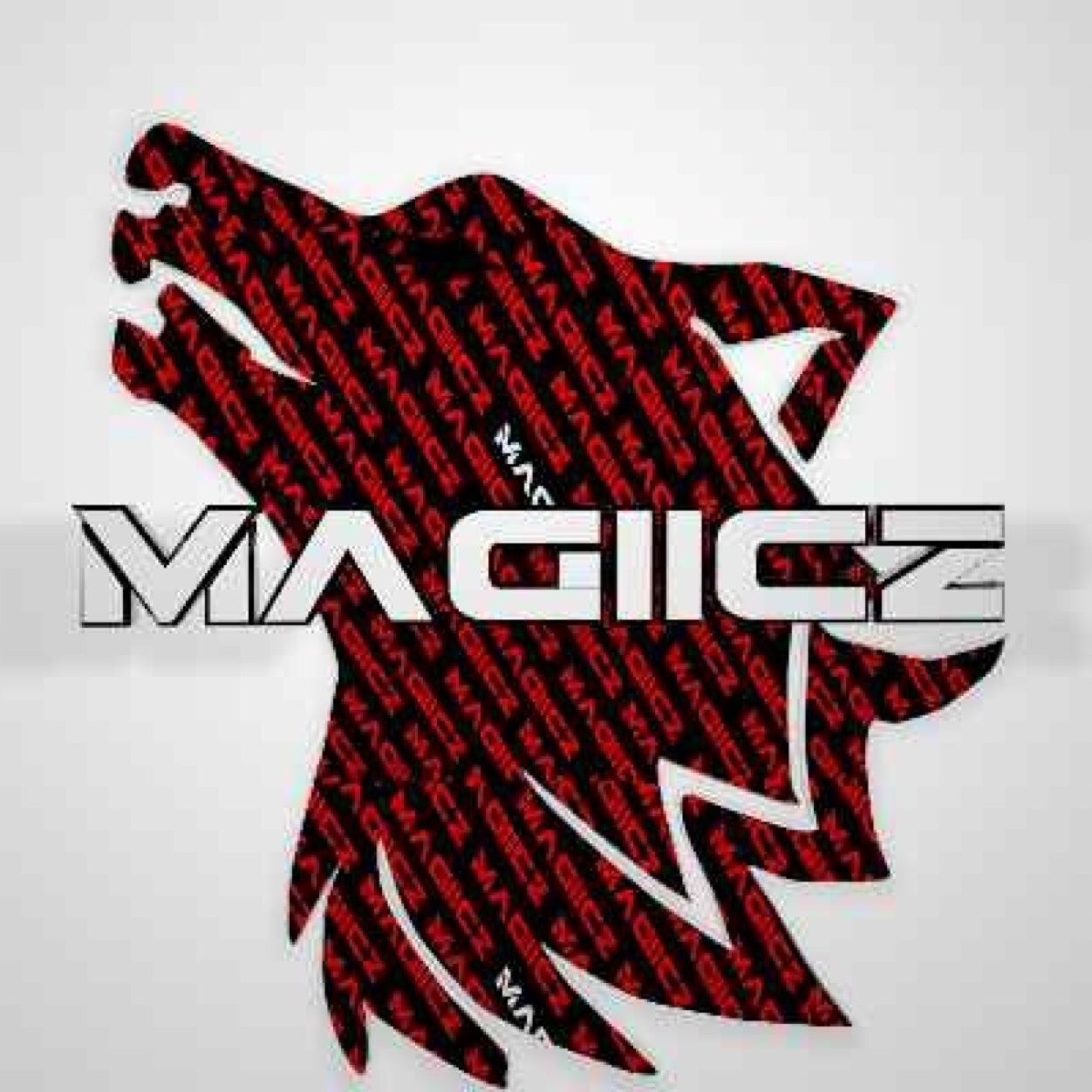 I am a competitive call of duty player|Youtuber. http://t.co/wwLXsA5I2r DaZe_zMagiicZ. Member of GGsa/Ghost Gaming.