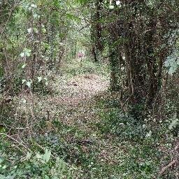 Been a volunteer at Evergreen Cem since June 2008 and at East End Cem since July 2013.
Always looking for volunteers to help with the East End Cem clean up.