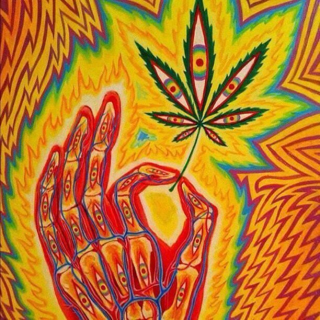 wyatt_WHS's profile picture. 