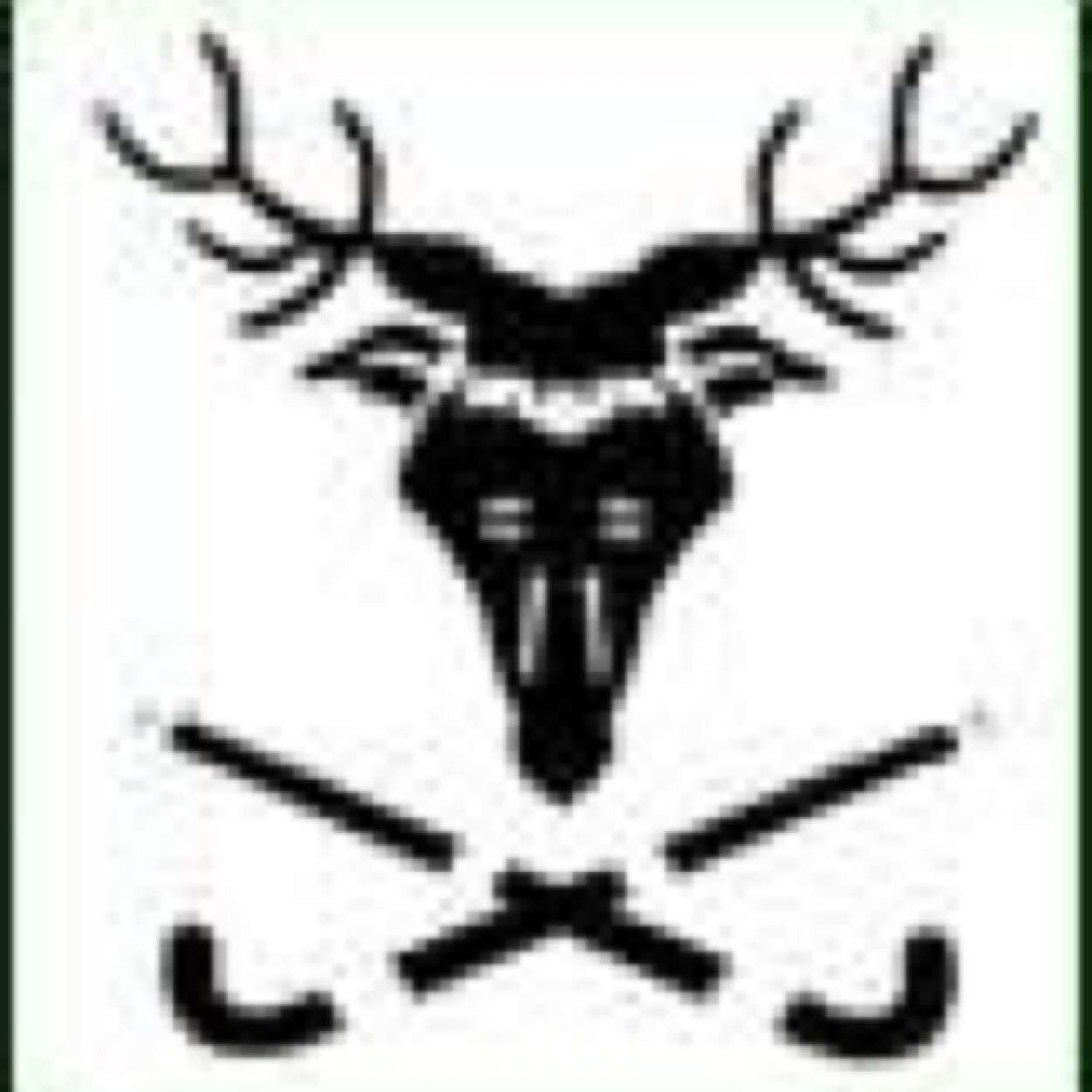 Local hockey club from the West Midlands. We run three Men's teams, one Ladies team, a Badgers team, and two summer league teams. #wbhc