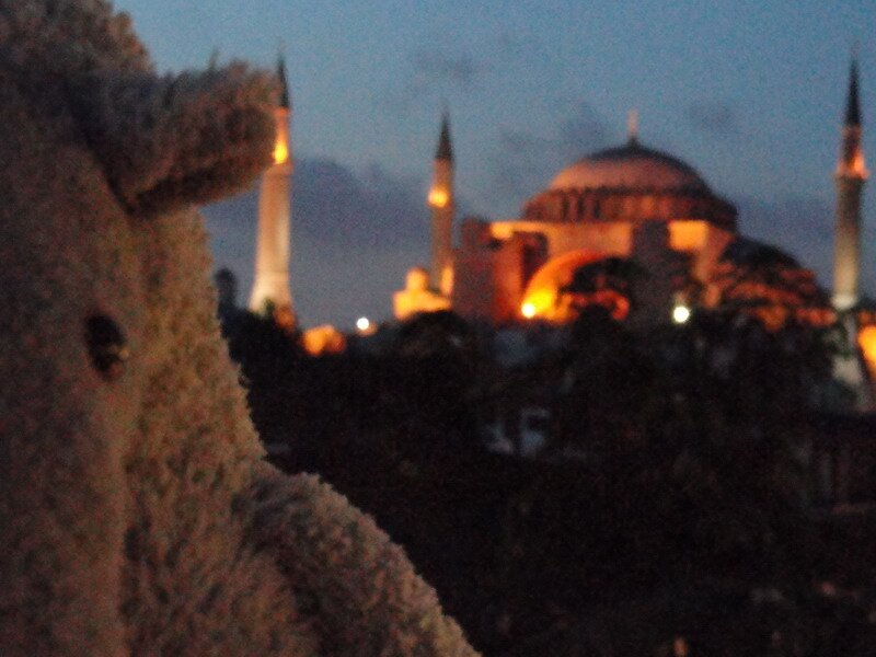 I am an anteater from Leiden, I lived for a while in Brussels until my parents found me.