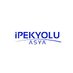 İpekyolu Asya (@ipekyoluasya) Twitter profile photo