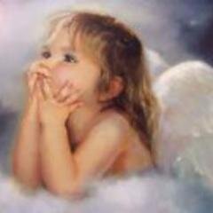 almamaderasalli's profile picture. DISTRIBUIDORA DE MADERAS  PISOS EQUIPO PARA COCINAS TRIPLAY Y TABLEROS