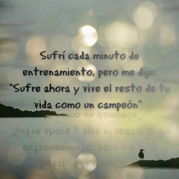 Tweet, RT and FAV only the best of twitter!