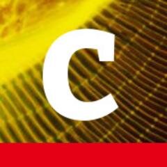 cultuurgesch Profile Picture