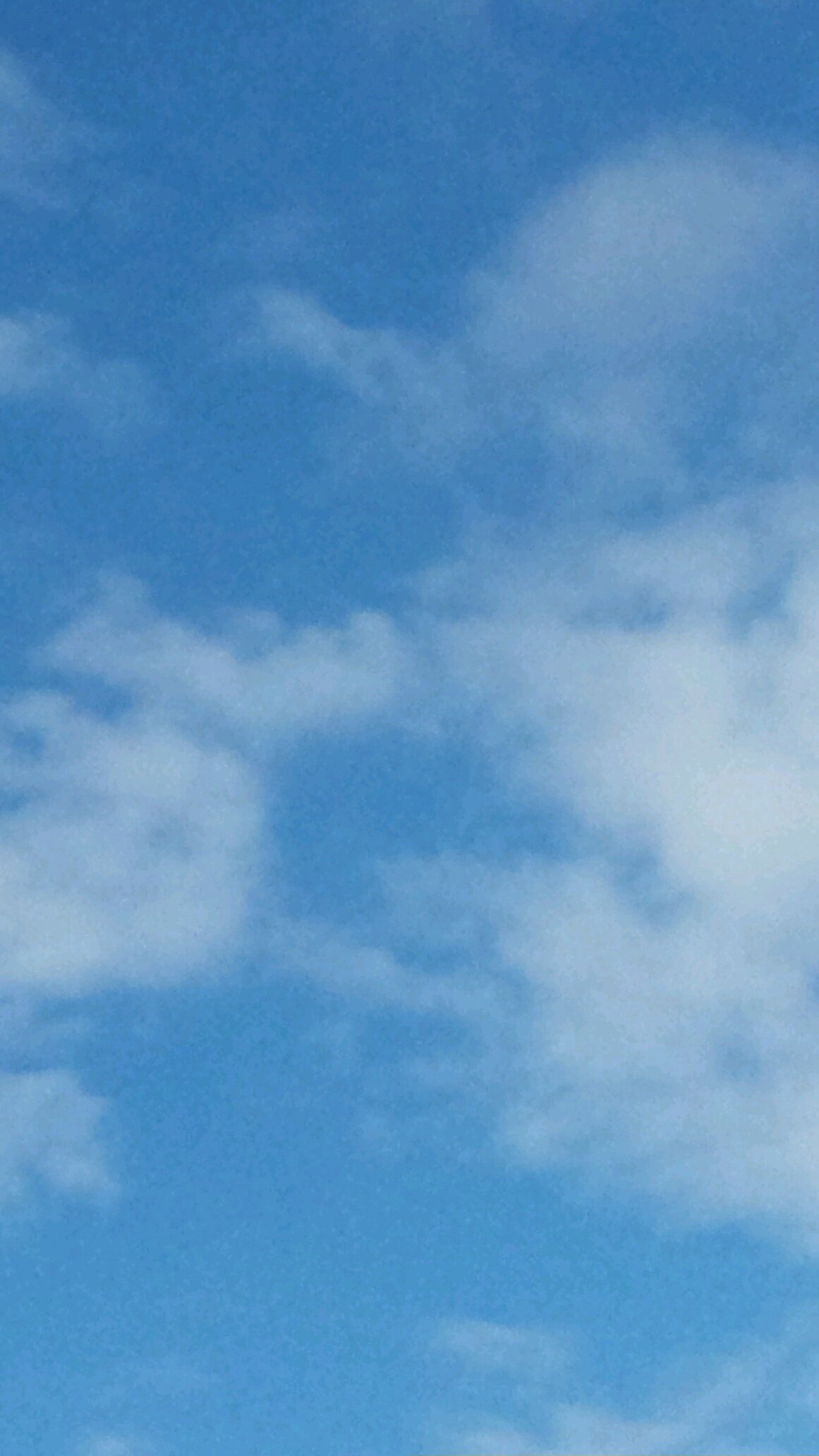 Mccormack1M's profile picture. 