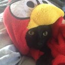 Renee Burger - @princessnayb - Twitter