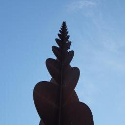 civismeTerrassa's profile picture. Twitter denúncia. El civisme a Terrassa, cosa de porcs