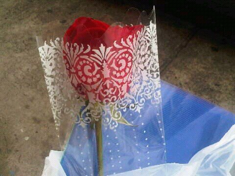 ToroSandratoro's profile picture. 