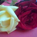hisham (@004_hh) Twitter