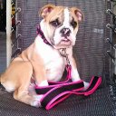 Michael Raynor - @mraynor2321 - Twitter