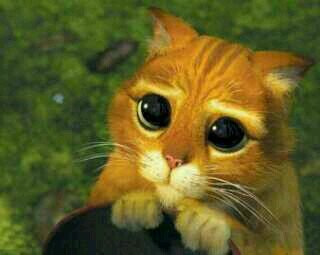 migosa52's profile picture. libre pensador, iconoclasta y admirador de las mujeres maduras