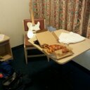 Jamie Timm - @TimmyJame - Twitter