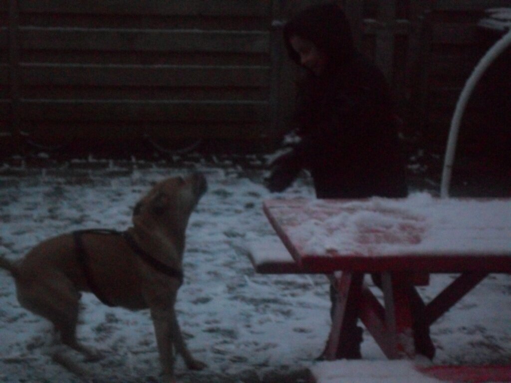 hou van gtst