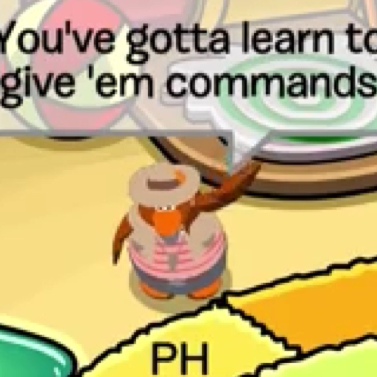 G'day Mate, it`s PH the Puffle Handler! I train Puffles and the Elite Puffles! I am an Agent with the Elite penguin Force. You cam find me at the Wilderness....
