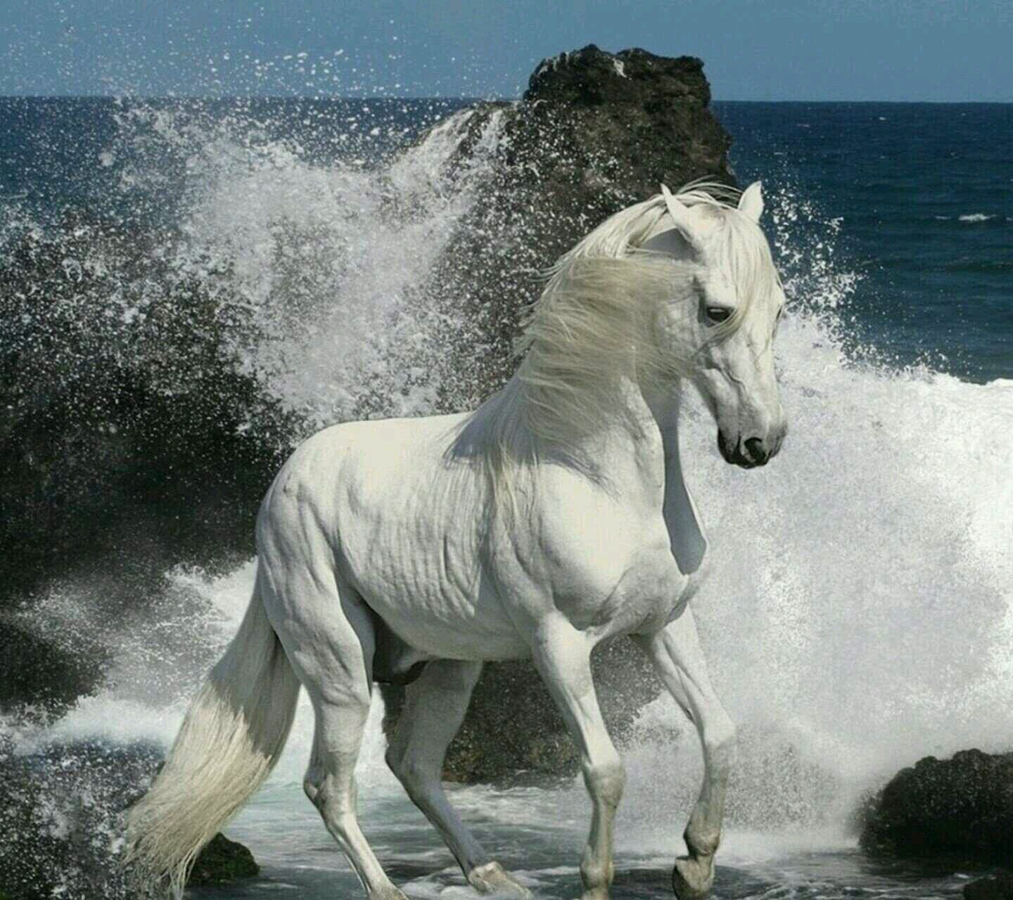 af19571644's profile picture. لا تتردد في الرجوع إلى الله حتى وإن كثرت ذنوبك..
فالذي سترك وأنت تحت سقف المعصية لن يخذلك وأنت تحت جناح التوبة..
          استغفر الله