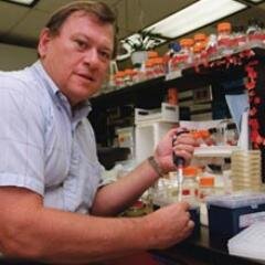 maize genetics, University of Florida
