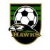 BHS Boys-Soccer (@bvilleboysoccer) Twitter profile photo
