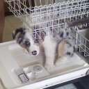 vickie nolan - @vikster68 - Twitter