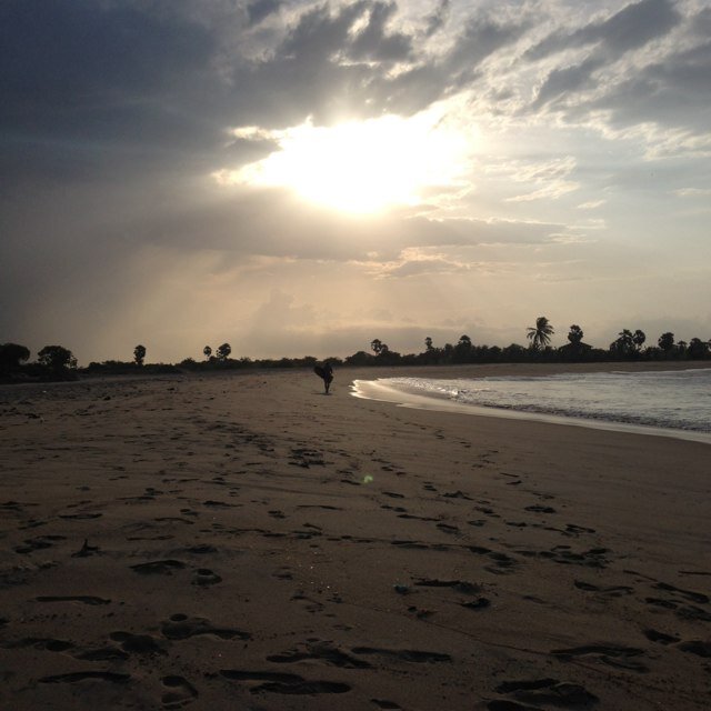 dengeiten's profile picture. 