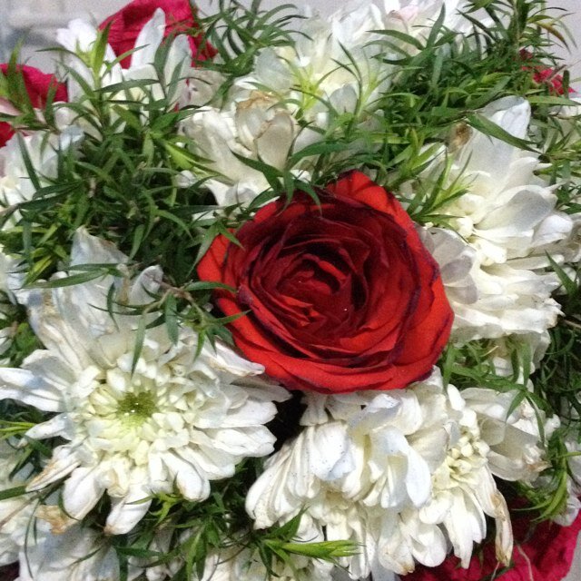 scientist_aya's profile picture. biochemist xD `’•.¸*♫♪(✿◠‿◠)♫♪*¸.•’´