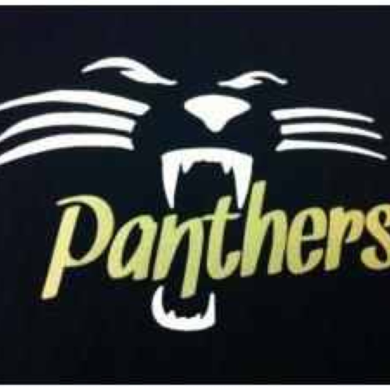 Pep O' Plant sports | H.B Plant High school