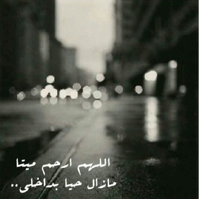 و منذ مُوتہ و انا اشعر بفجُوه في قلبي تؤلمني كثِيرا.