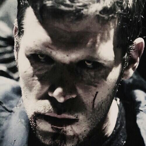 Original Hybrid Originaltvd89 Twitter Original Hybrid
