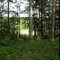 Pirita Mikkanen (@piritamikkanen) 's Twitter Profile