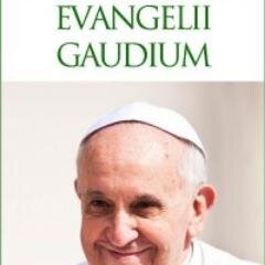 Citas textuales de la Exhortación Apostólica
EVANGELII GAUDIUM del Papa Francisco. Para que llegue a todos.   #EvangeliiGaudium    #PapaFrancisco #iMision