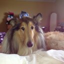 marian obrien - @marianobrien12 - Twitter