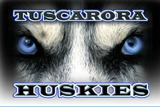 TuscaroraHusky Profile Picture