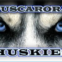 Tony Tallent (@tuscarorahusky) 's Twitter Profile Photo