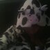 Clare James (@clare_cj76) Twitter profile photo Clare James (@clare_cj76) Twitter profile photo