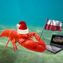 Alex Lebedev - @WoWeC1993 - Twitter