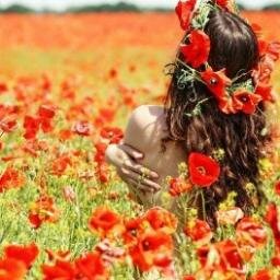 glorhik's profile picture. 