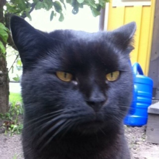 mskogelin's profile picture. 