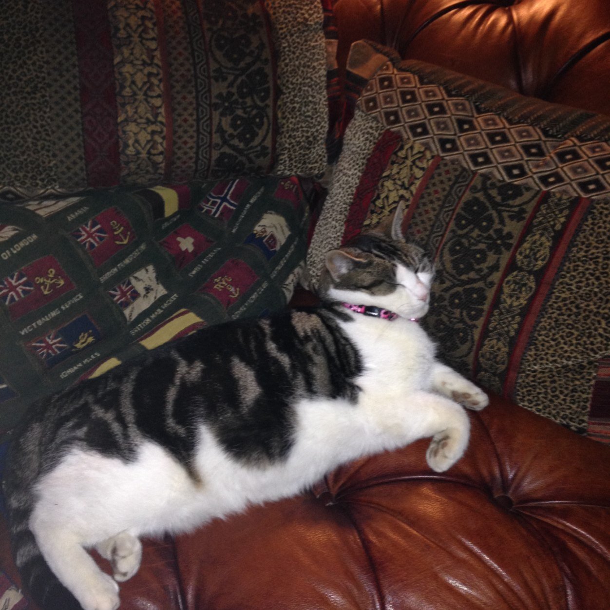 clark_margarita's profile picture. 