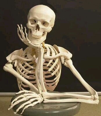 elenaruizfisio's profile picture. Fisioterapeuta en ASAG.