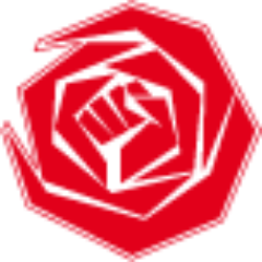 PvdAVianen's profile picture. 