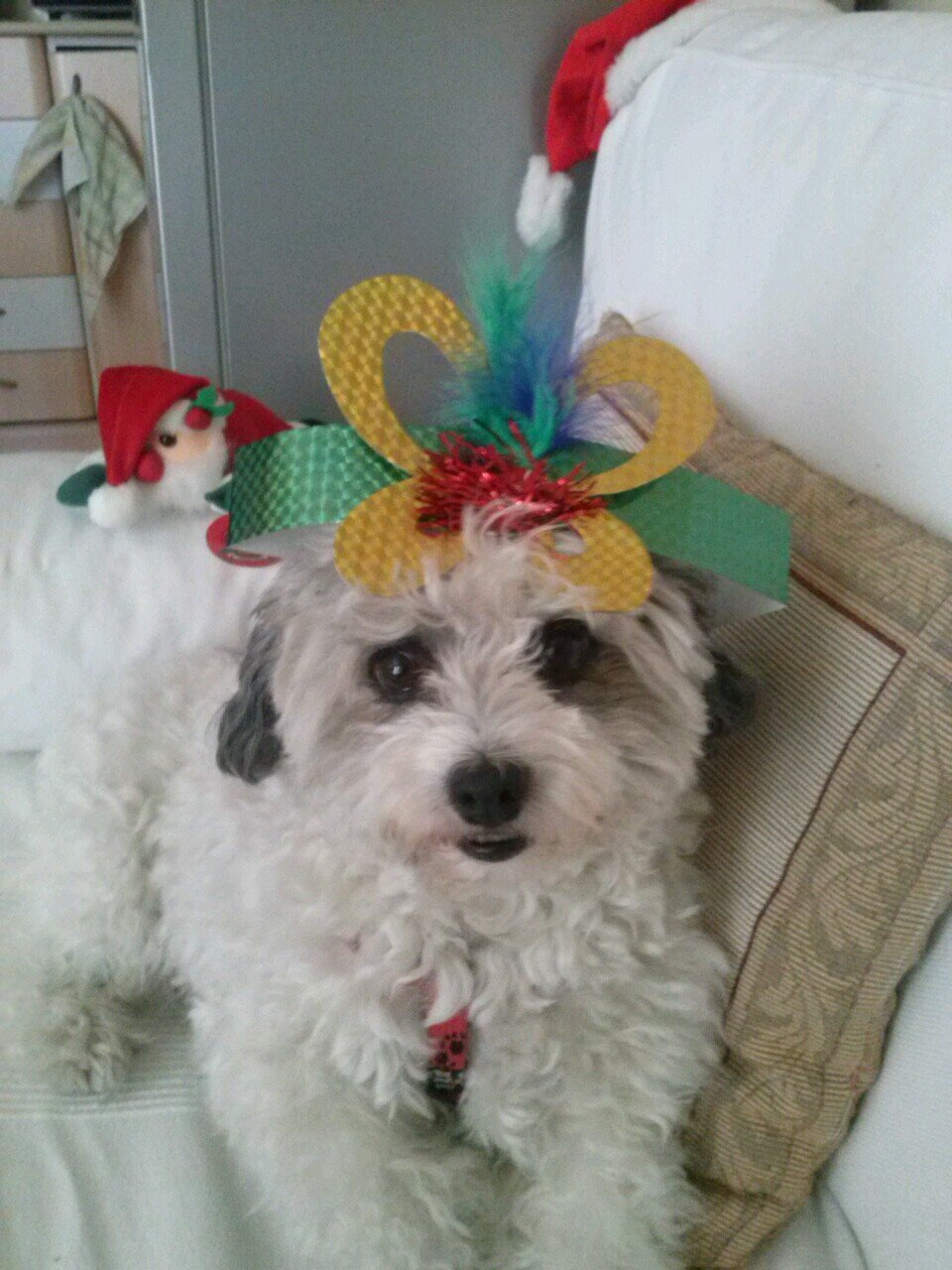 tovar_marjorie's profile picture. 