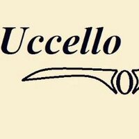 @UCCELLO.SA (@uccello_sa) 's Twitter Profile
