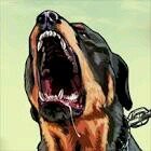 I'm a gaming, Youtube, music and laughing enthusiast. Follow me and I will follow you back.